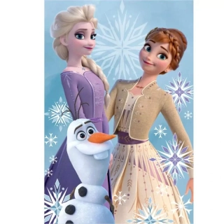 Fleecová deka Disney Frozen