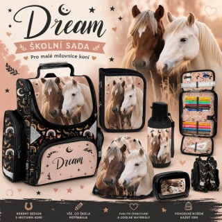 PASO ŠKOLNÍ SADA KONĚ DREAM 5 KS