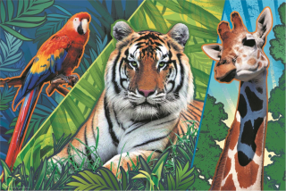 TREFL Puzzle Animal Planet: Úžasná zvířata 300 dílků