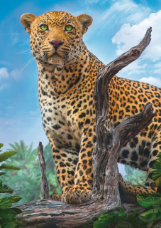 TREFL Puzzle Divoký levhart 500 dílků