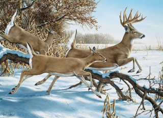 COBBLE HILL Puzzle Útěk 1000 dílků