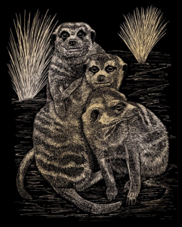 Zlatý škrabací obrázek Surikaty