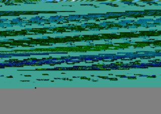 WOODEN CITY Dřevěné puzzle Exotický ostrov pokladů 2v1, 200 dílků EKO