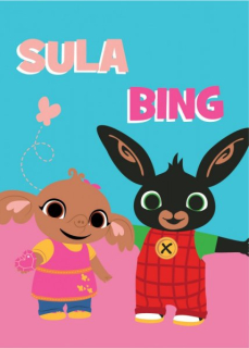 DEKA POLAR ZAJÍČEK BING