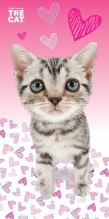 OSUŠKA THE CAT SRDÍČKA