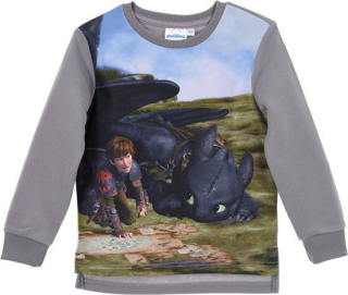 CHLAPECKÁ MIKINA JAK VYCVIČIT DRAKA