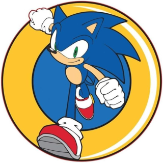 POLŠTÁŘ SONIC, uni