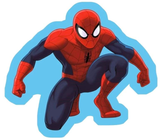 POLŠTÁŘ  SPIDERMAN, uni