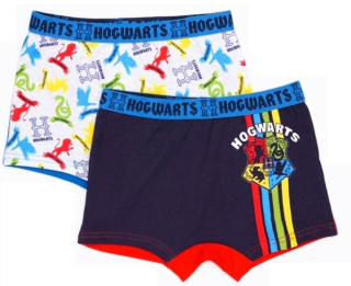 DUOPACK BOXERKY HARRY POTTER, 6-8