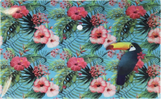 HAPPY SPIRIT Složka s drukem A4 Tropical