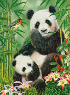 CASTORLAND Puzzle Pandí brunch 1000 dílků