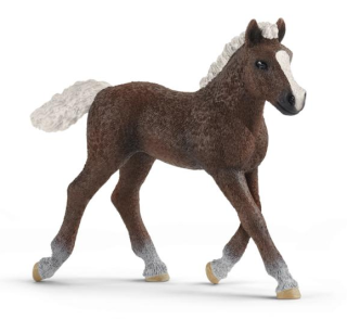 SCHLEICH Horse Club® 13899 Kůň Schwarzwaldský - hříbě