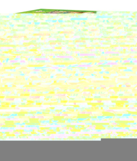 ART PUZZLE Puzzle Babiččino štěstí 200 dílků