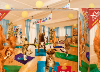 EUROGRAPHICS Puzzle Jóga studio XL 300 dílků