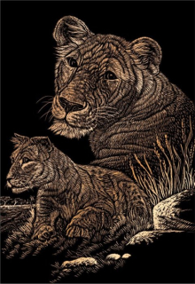 Měděný škrabací obrázek Lvice s mládětem