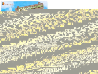 ROYAL & LANGNICKEL Zlatý škrabací obrázek Leopard