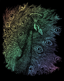 Duhový škrabací obrázek Páv